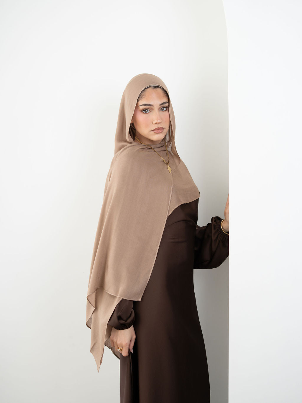 Deep Taupe Premium Modal